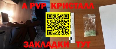 крисы Боровичи